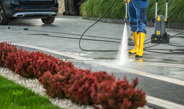 Roof Power Washing Services in Mequon, WI